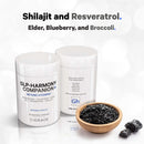 GLP-Harmony Companion+